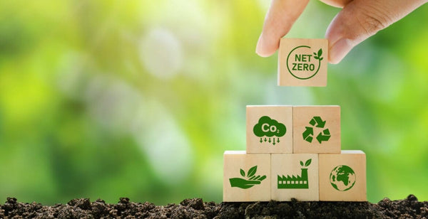 Our Journey to Sustainable Packaging and Carbon-Neutral Shipping